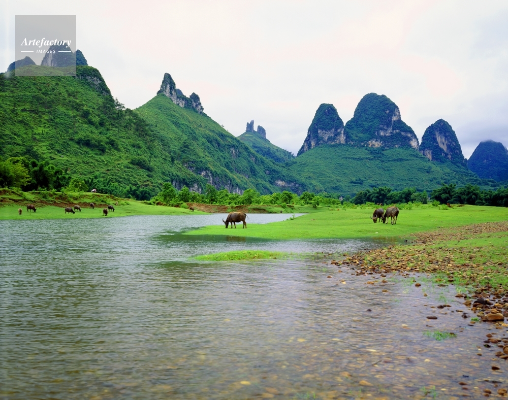 桂林 漓江 漓江下り
