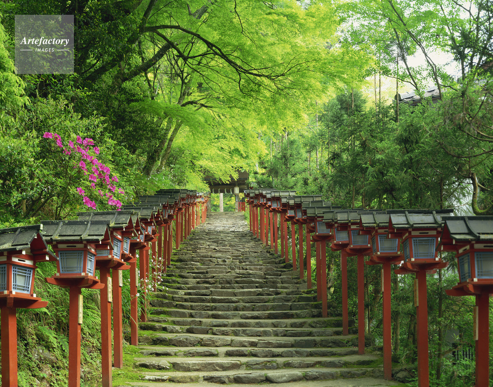 ツツジ咲く貴船神社参道