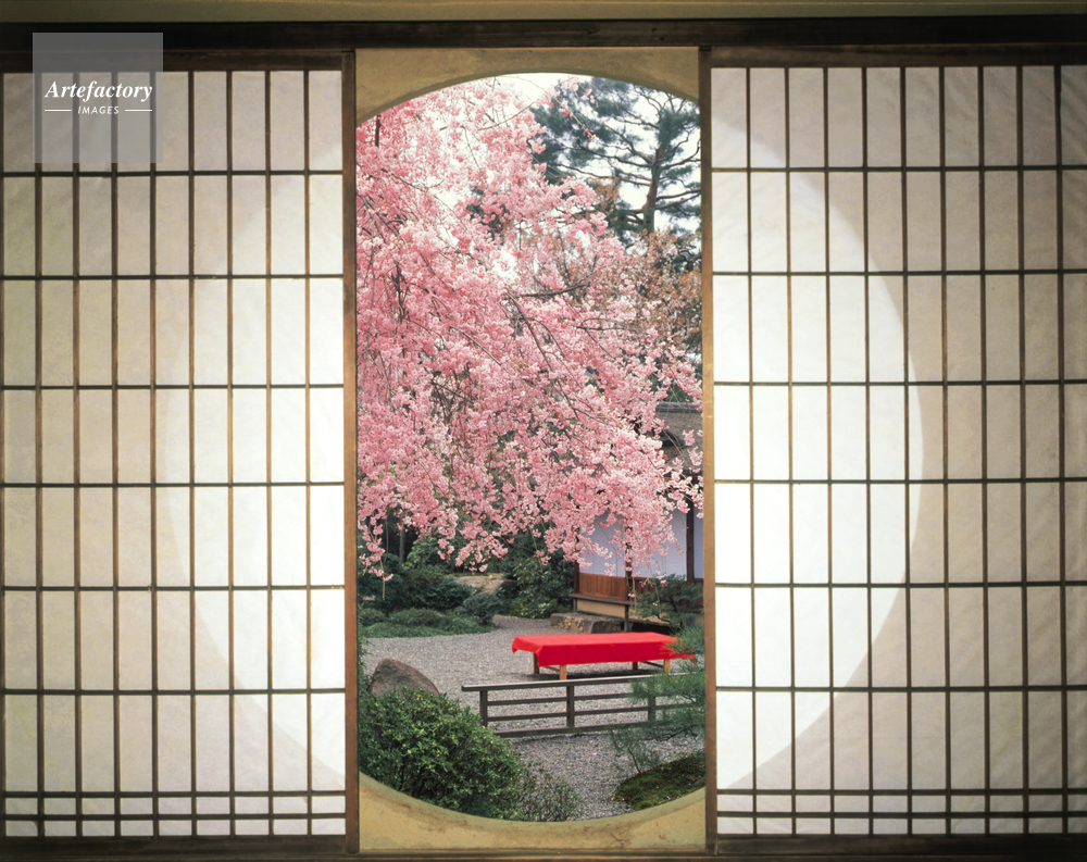 丸窓と桜 ｃ ｇ 合成