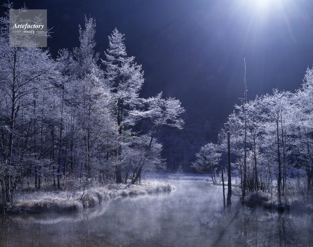上高地田代池霧氷