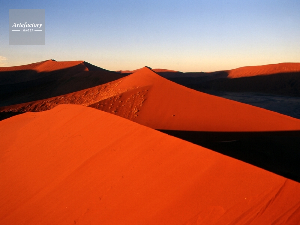 デューン４５の朝