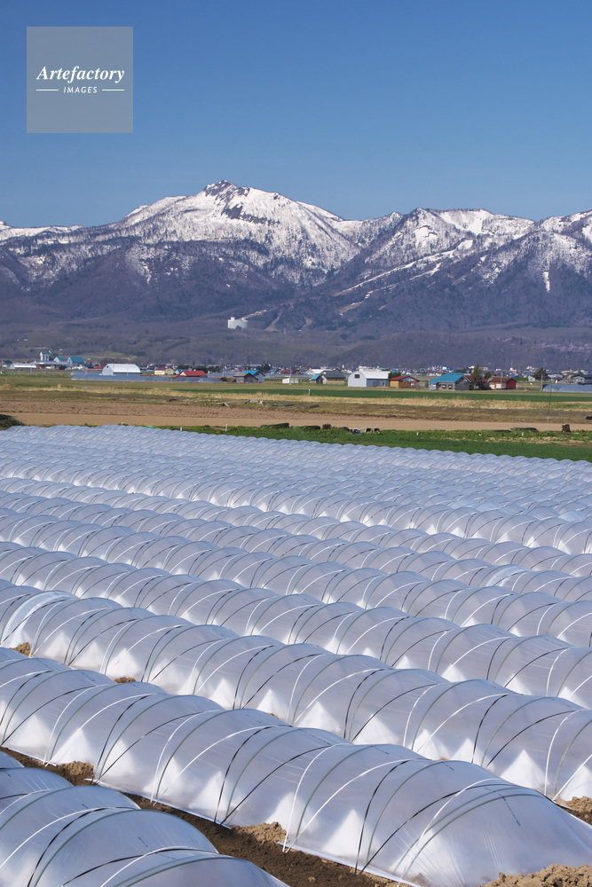 夕張山地とビニールトンネル