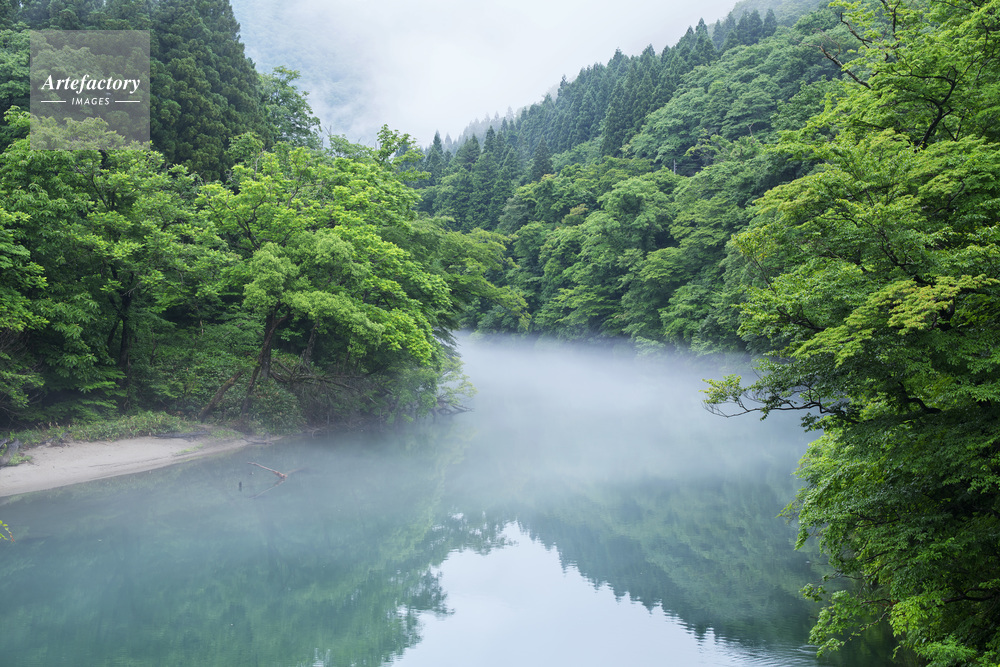 玉川の朝と川霧