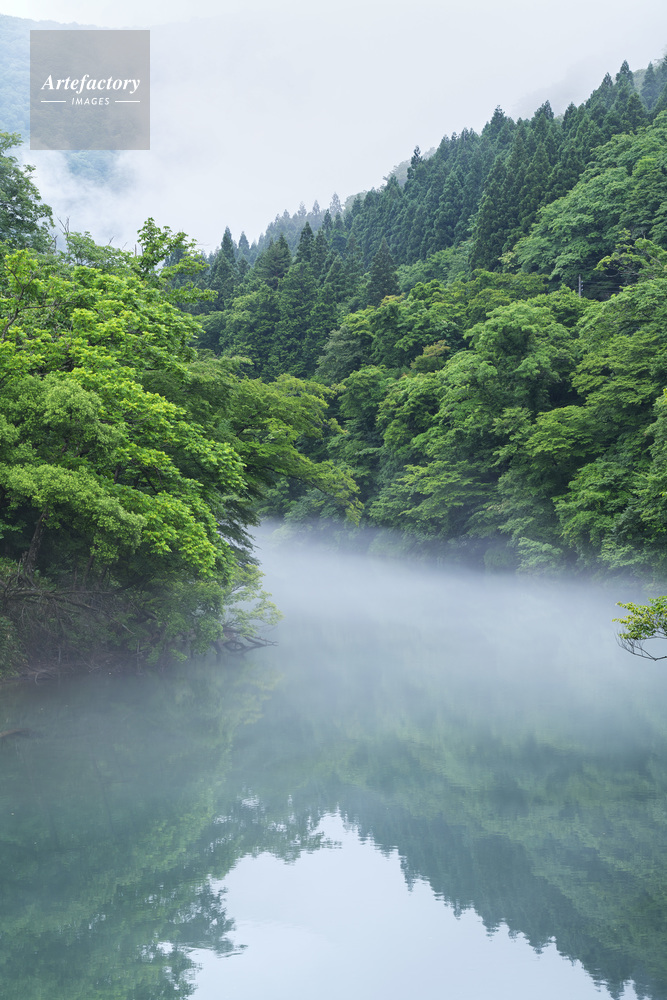 玉川の朝と川霧