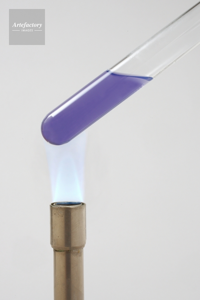 ニンヒドリン反応 ２