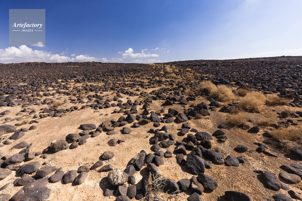 ヨルダン西部砂漠地帯の礫砂漠