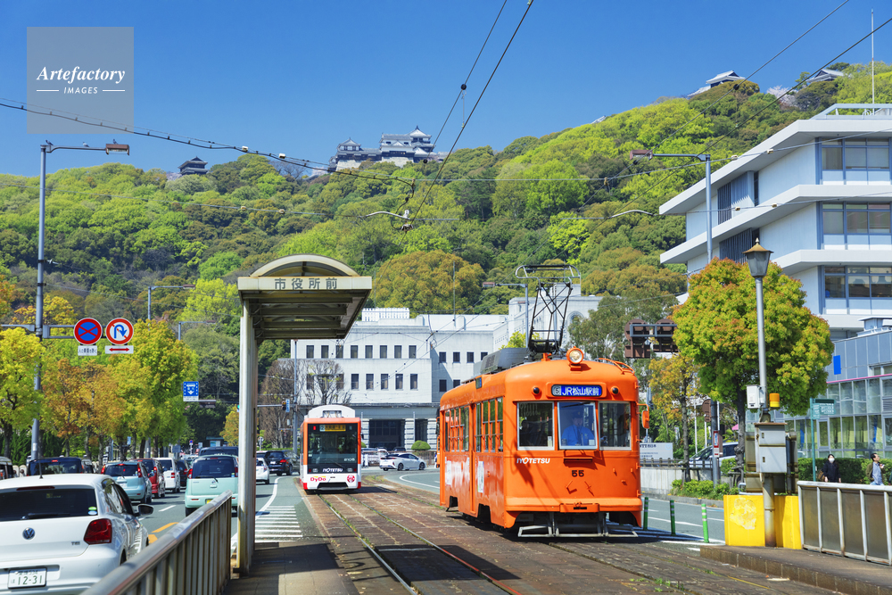 路面電車と松山城