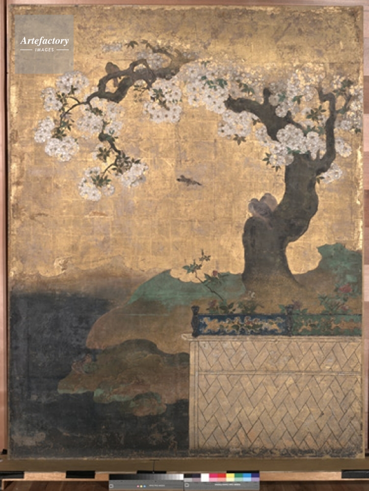 【 狩野昌運（季信）鍾馗図 】 絹本墨画淡彩 捲り 旧家所蔵 　G0923G 桜下雉子図(二条城 黒書院 東側襖絵) 狩野尚信画 色紙 未使用品