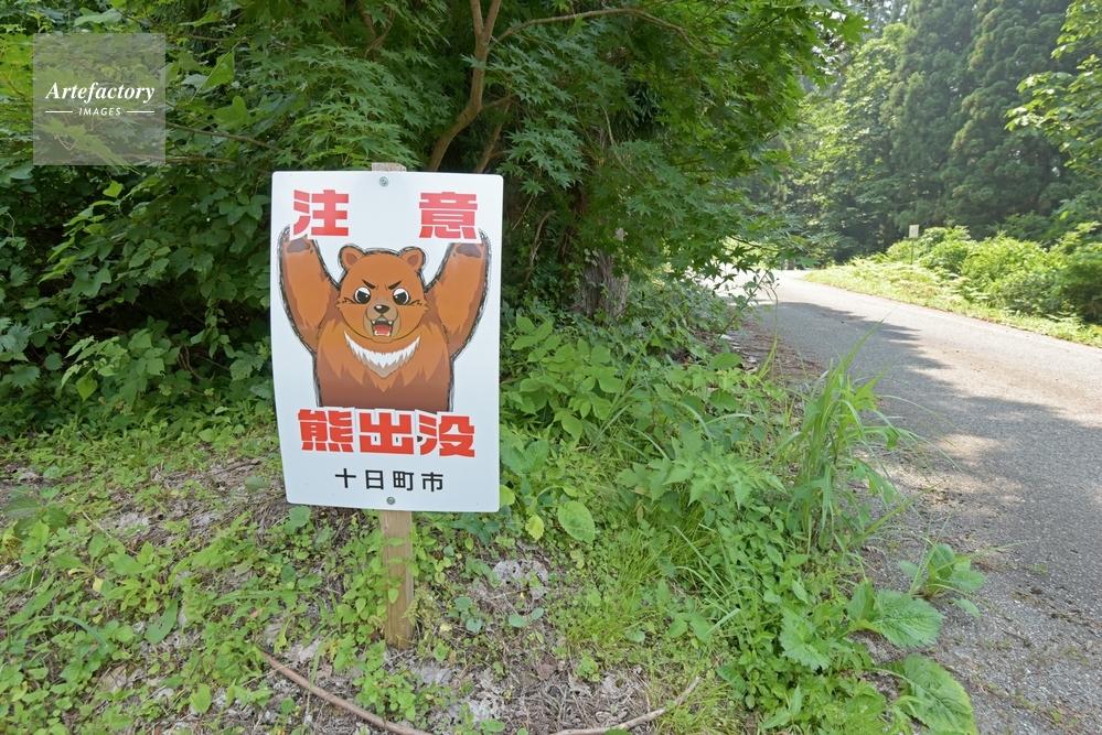 熊出没注意の看板 熊出没注意の看板