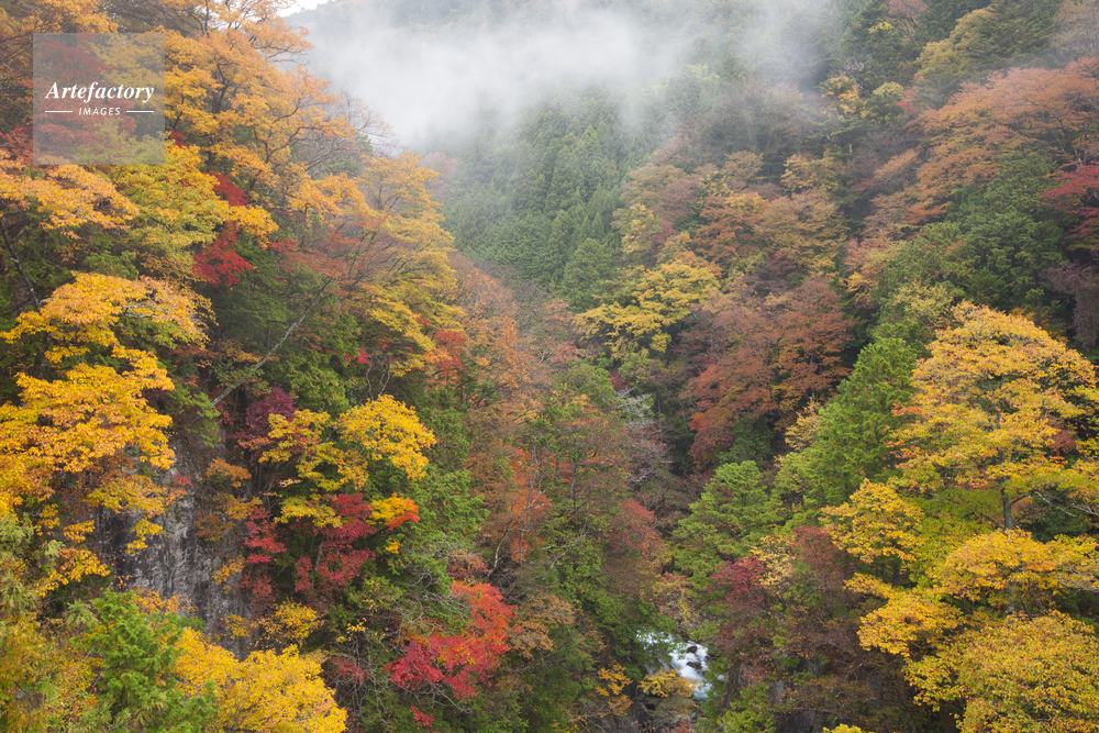 紅葉の付知峡