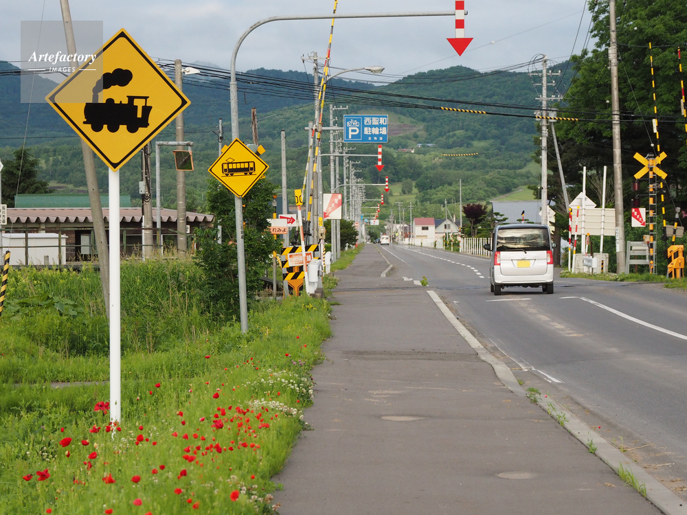 道路標識 踏切（SLと電車）