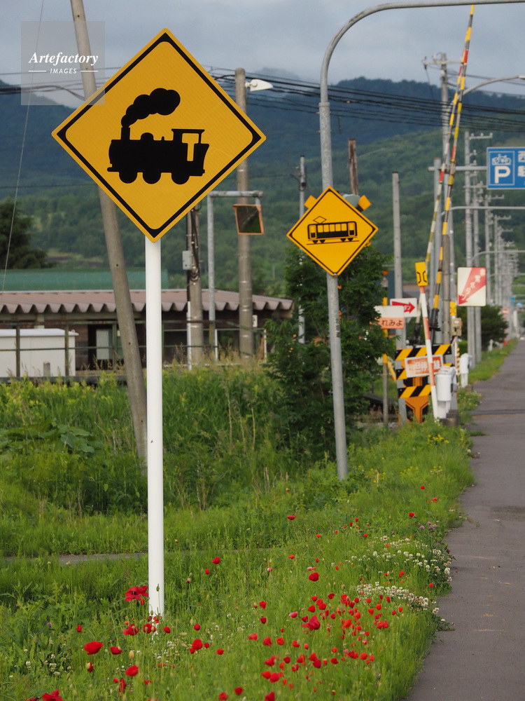 道路標識 踏切（SLと電車）
