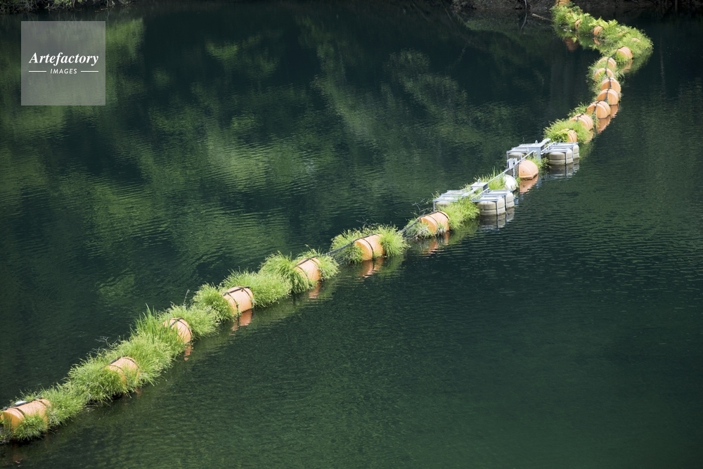 九尾ダム 貯水池のブイ